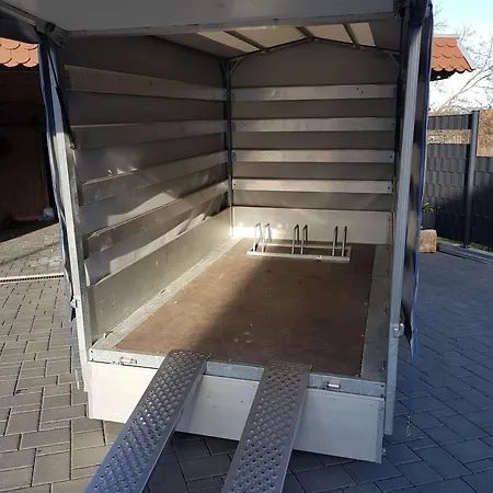 Bergbluete * Bad Harzburg